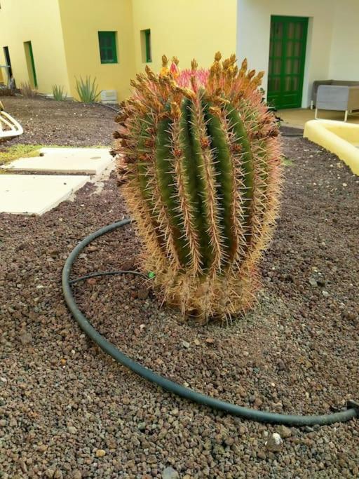 Caleta Paraiso 94 科斯塔德安提瓜 外观 照片